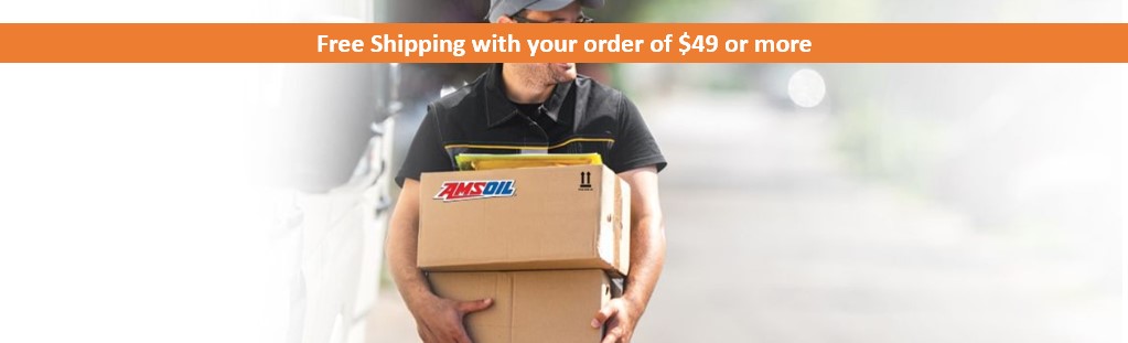 Free Shipping Promo offer